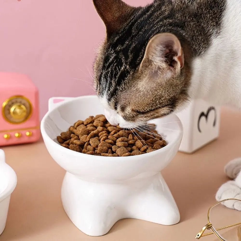 Creative Ceramic Cat Bowls